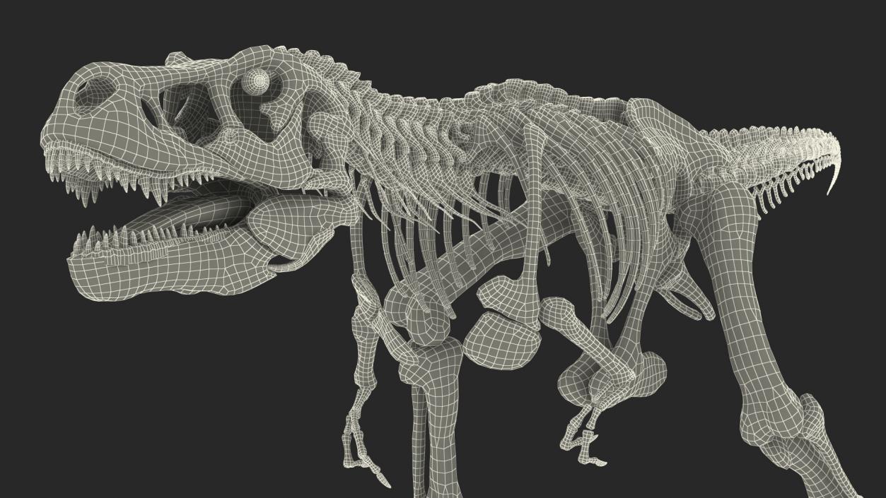 Tyrannosaurus Rex Skeleton with Skin Walking Pose 3D model