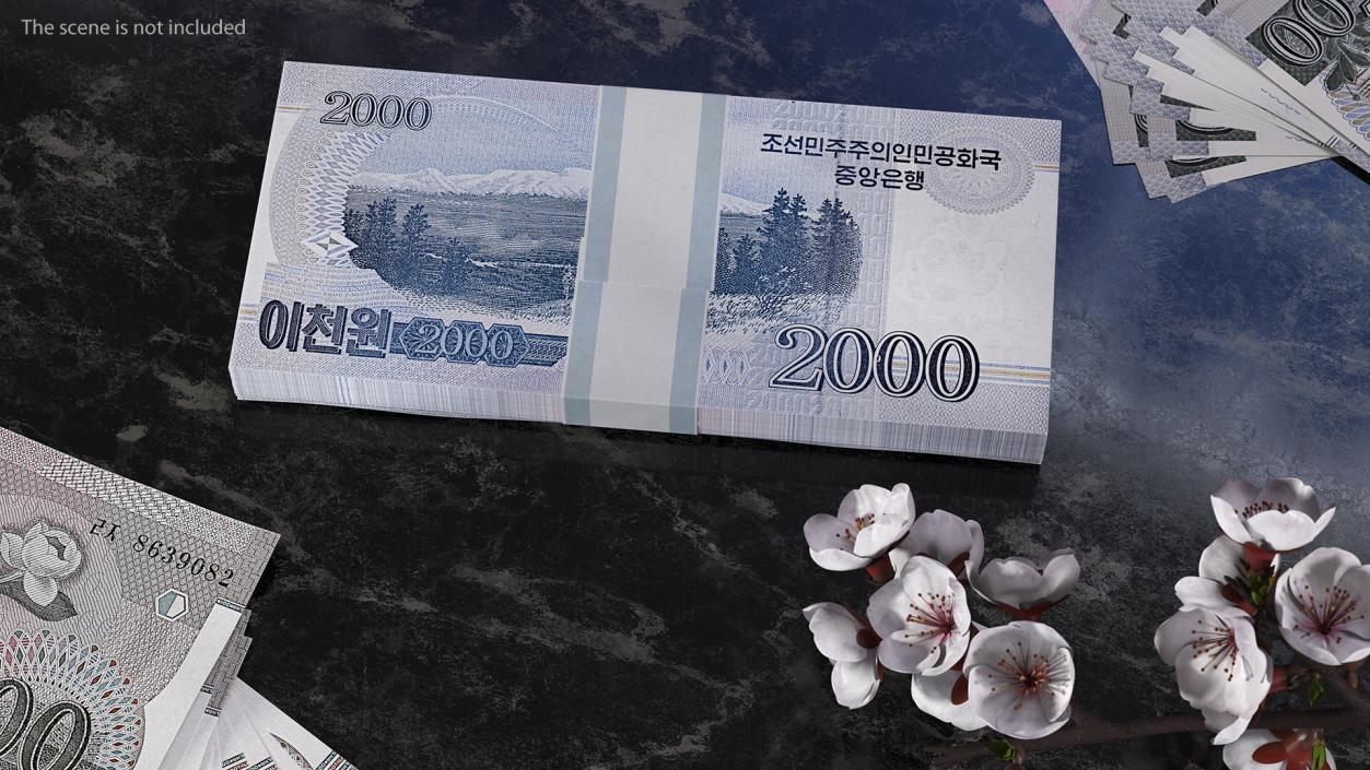 North Korea 2000 Won Banknotes Bundle 3D