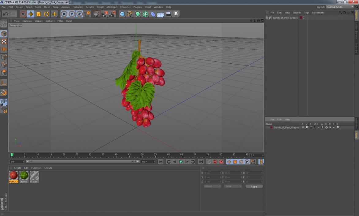 3D model Bunch of Pink Grapes