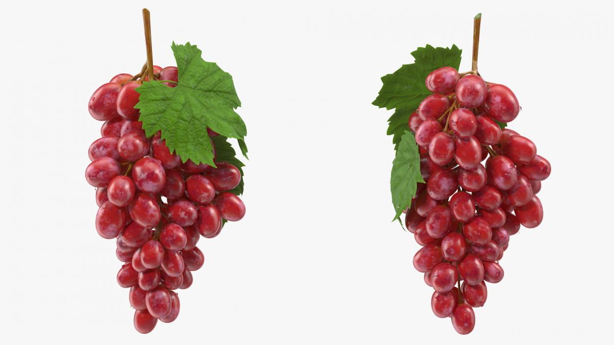 3D model Bunch of Pink Grapes