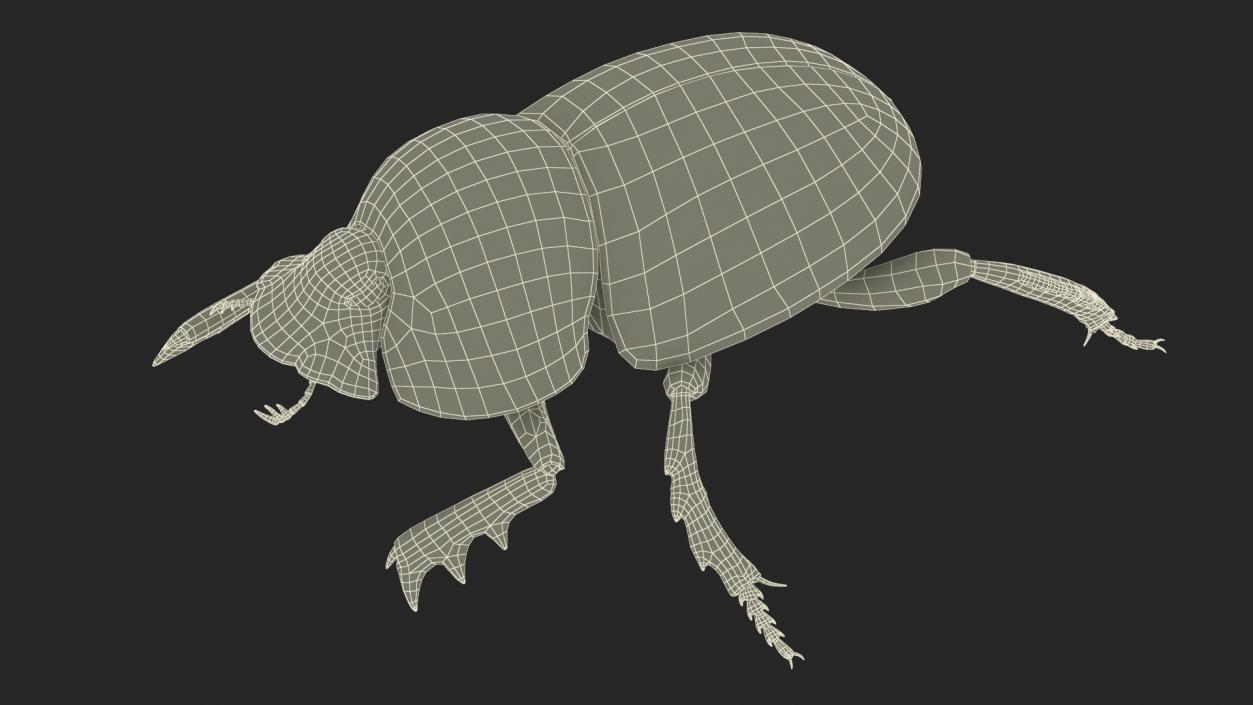 3D model Dung Beetle Crawling Dirt