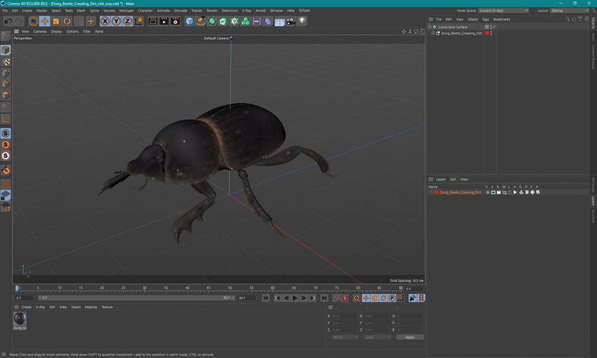 3D model Dung Beetle Crawling Dirt