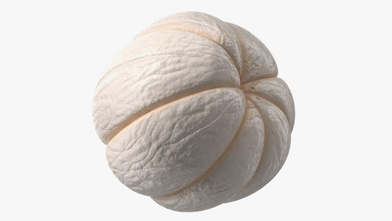 3D Peeled Mangosteen Fruit model