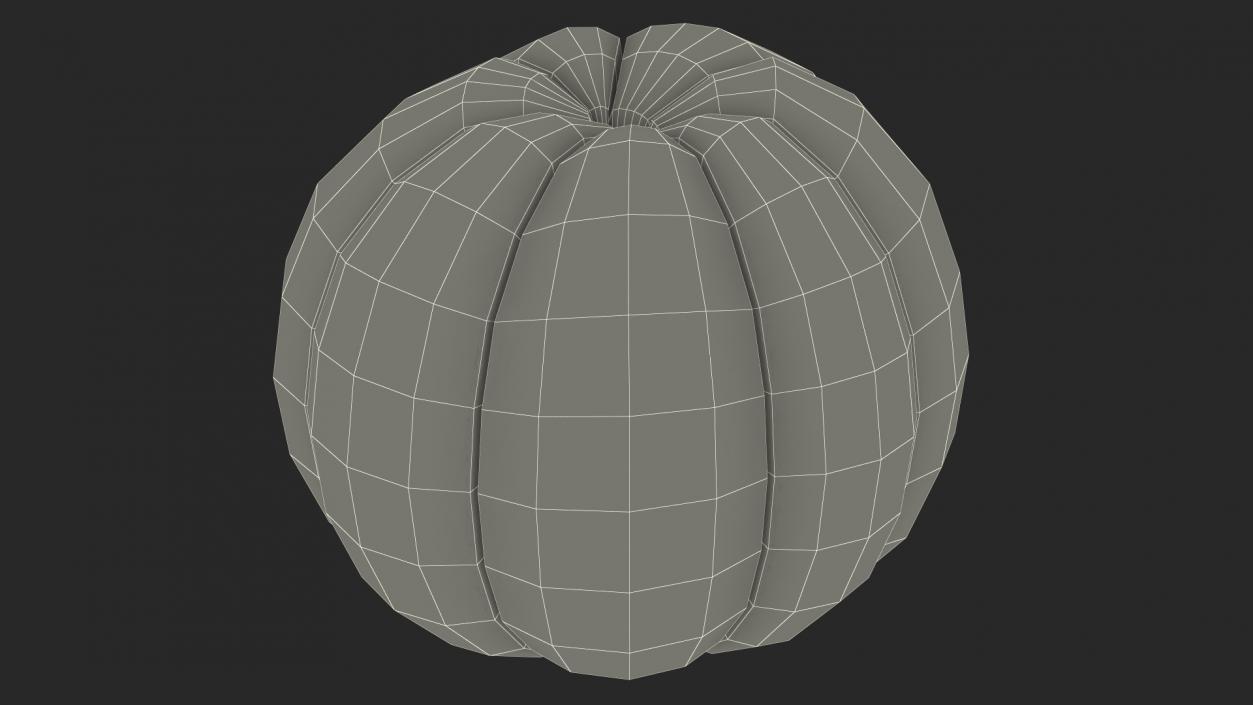 3D Peeled Mangosteen Fruit model