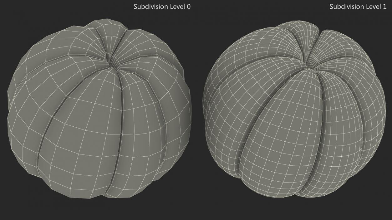 3D Peeled Mangosteen Fruit model