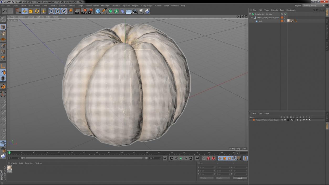 3D Peeled Mangosteen Fruit model