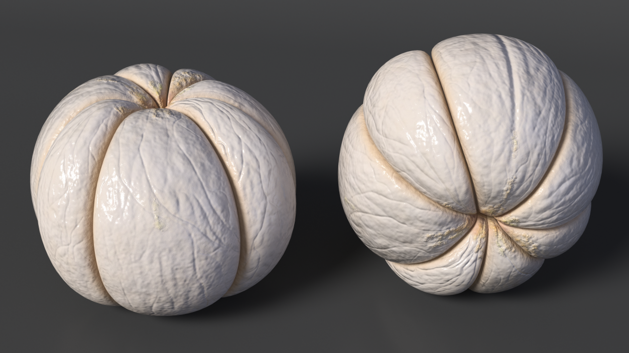 3D Peeled Mangosteen Fruit model