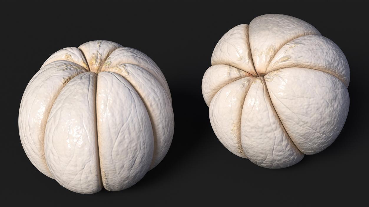 3D Peeled Mangosteen Fruit model