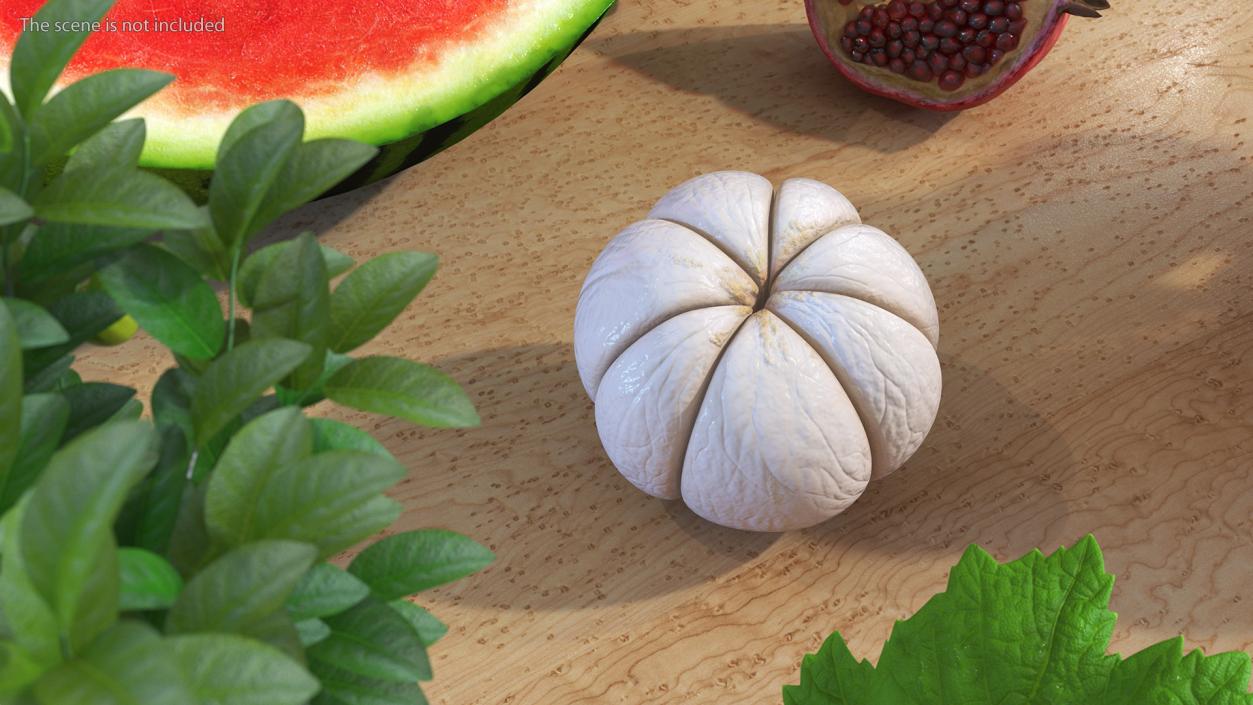 3D Peeled Mangosteen Fruit model