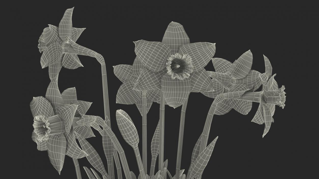 3D model Narcissus Flowers Growing