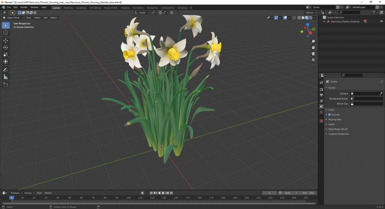 3D model Narcissus Flowers Growing