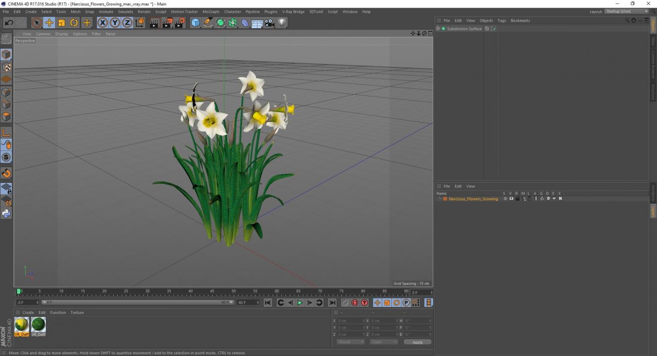 3D model Narcissus Flowers Growing