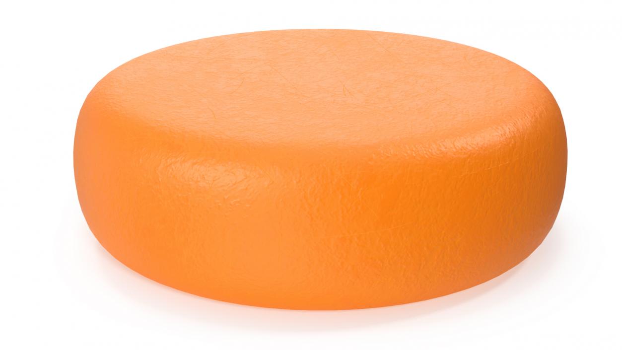 3D Cartoon Cheesehead model