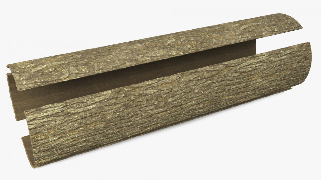 Structure of Wood Bark 2 3D model