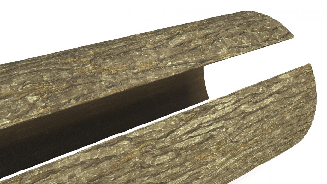 Structure of Wood Bark 2 3D model