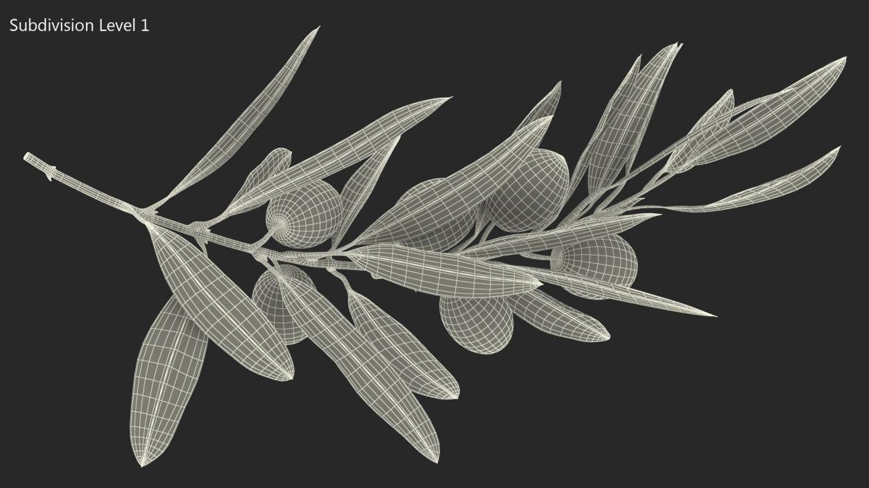 3D model Olive Branch with Green Olives