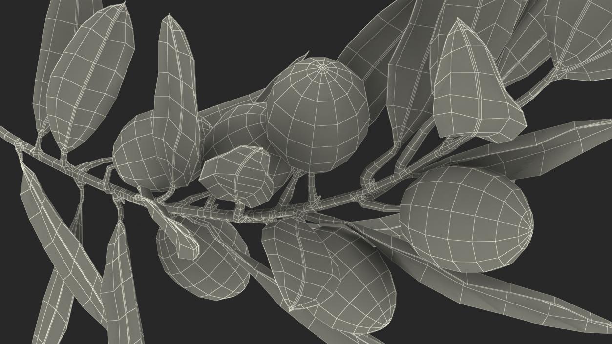 3D model Olive Branch with Green Olives