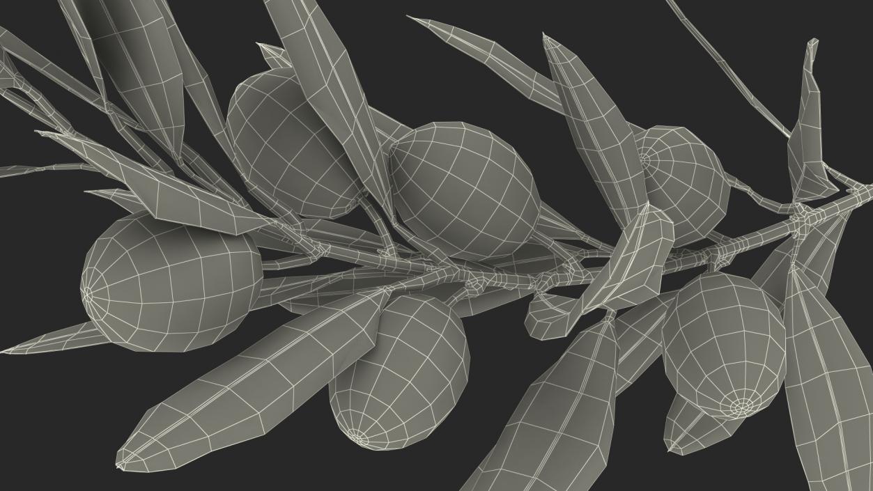 3D model Olive Branch with Green Olives