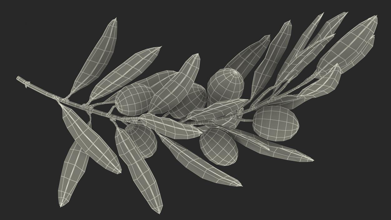 3D model Olive Branch with Green Olives