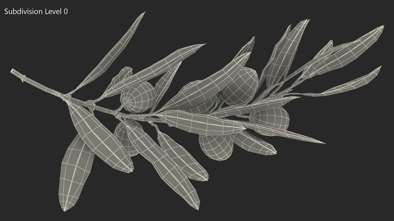 3D model Olive Branch with Green Olives