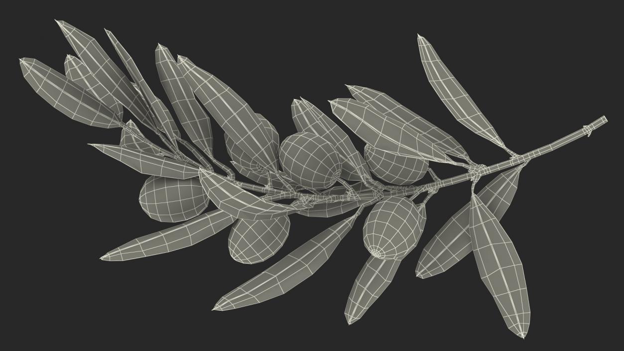 3D model Olive Branch with Green Olives