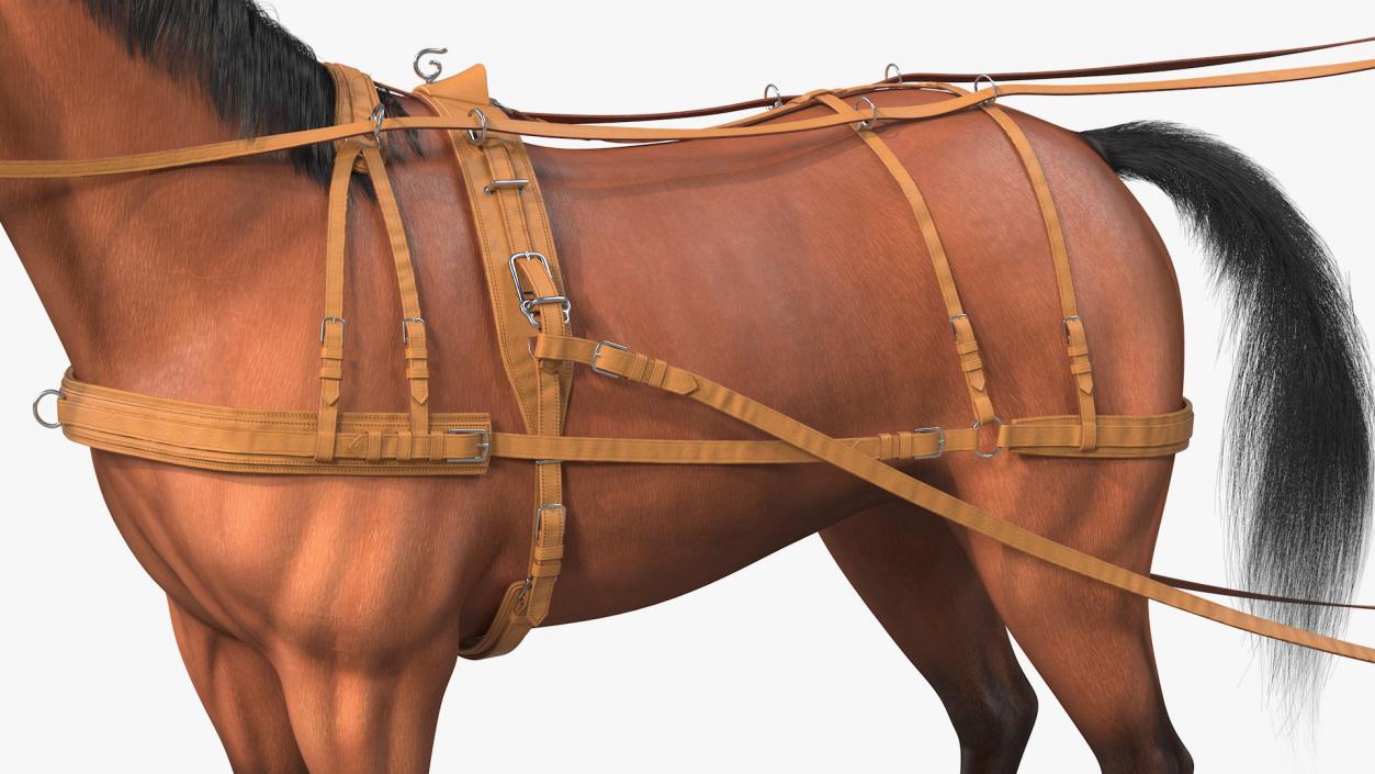 3D Horse Drawn Leather Single Driving Harness Fur