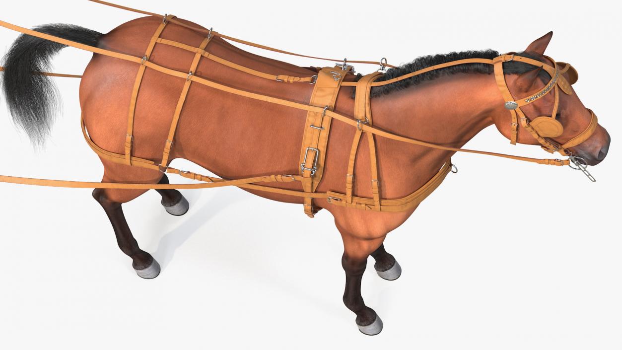 3D Horse Drawn Leather Single Driving Harness Fur