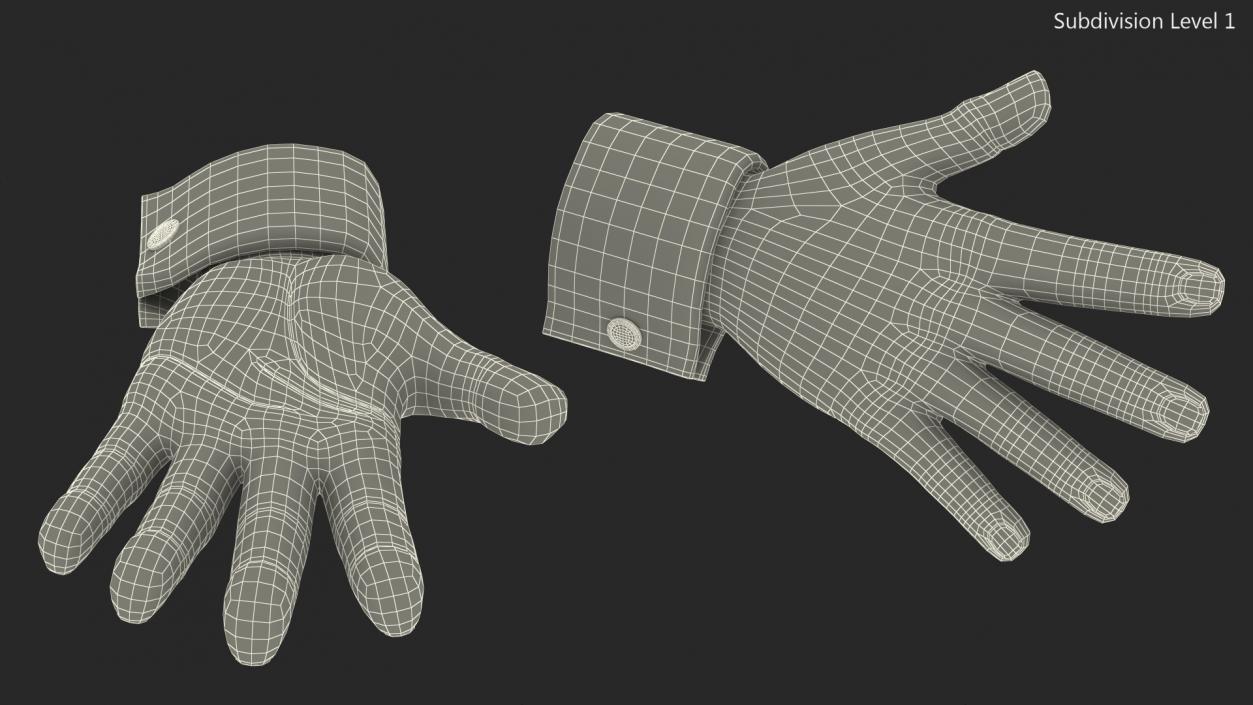 Cartoon Man Hands 3D