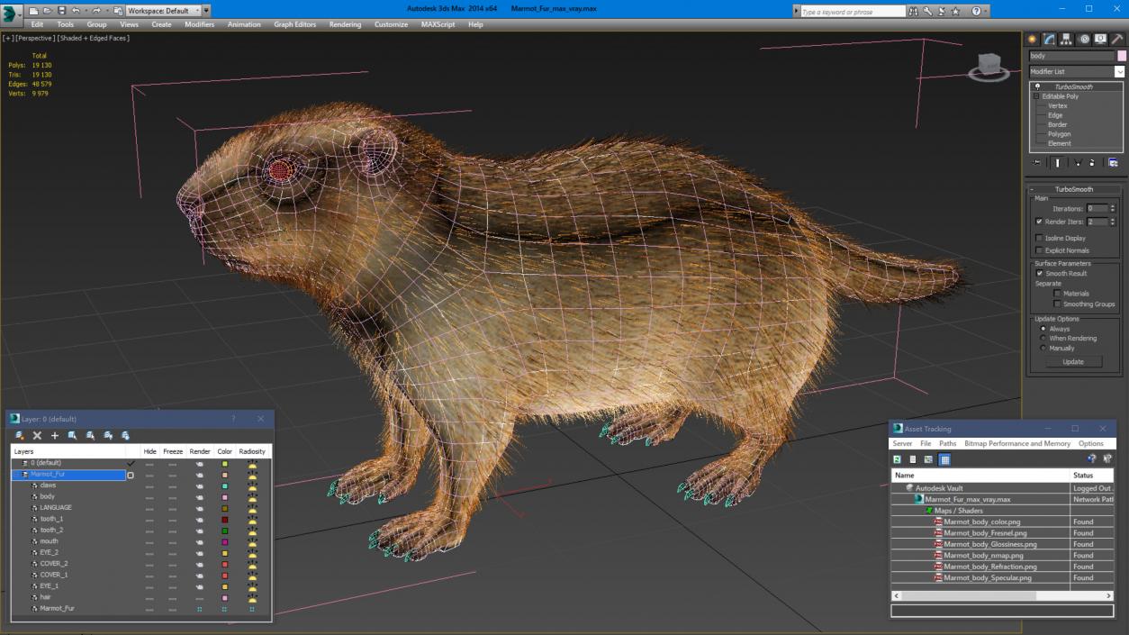 3D model Marmot Fur