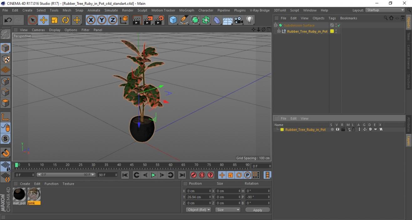 3D Rubber Tree Ruby in Pot model