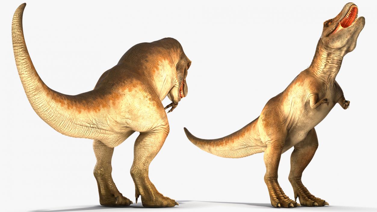 Animated Tyrannosaurus Rex Collection 3D