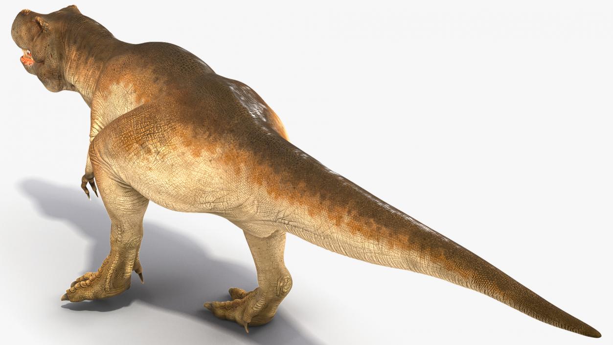 Animated Tyrannosaurus Rex Collection 3D