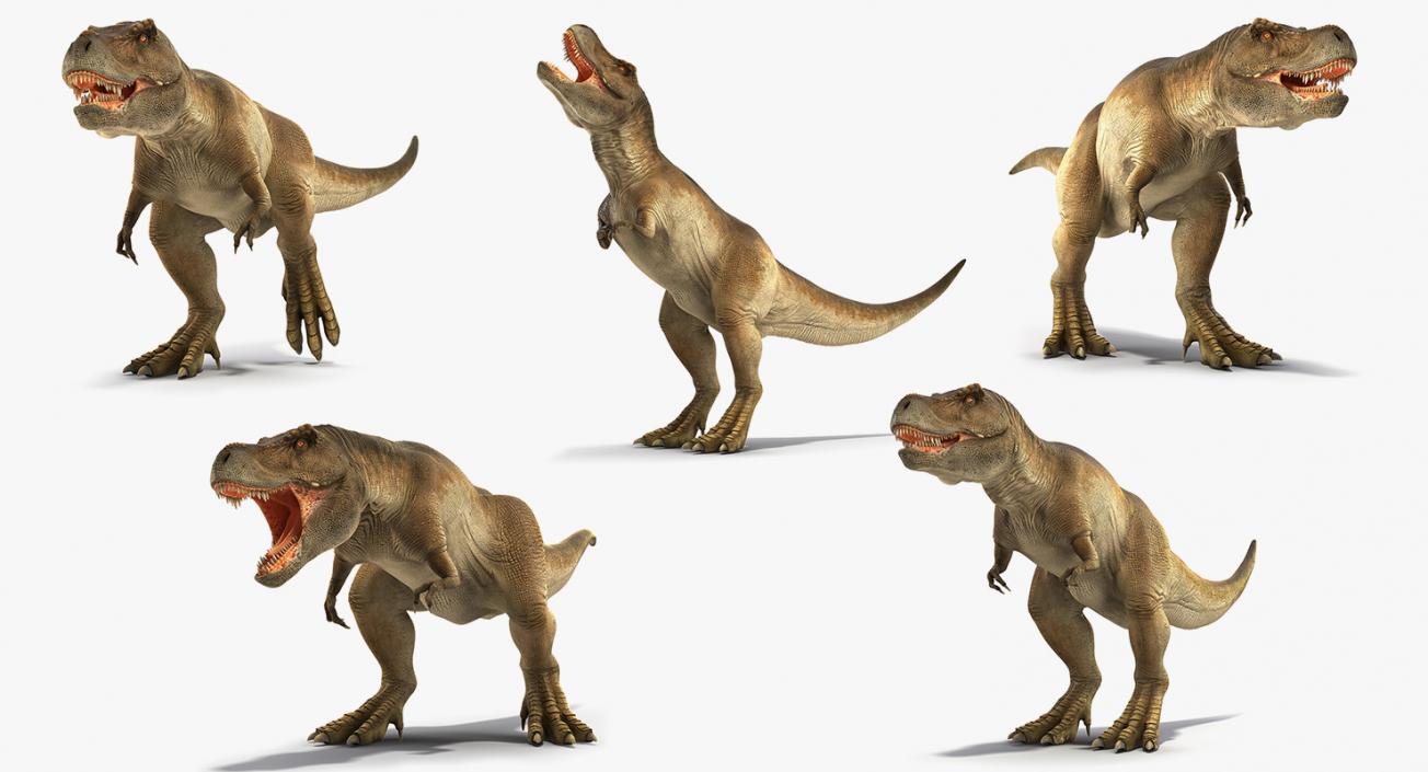 Animated Tyrannosaurus Rex Collection 3D