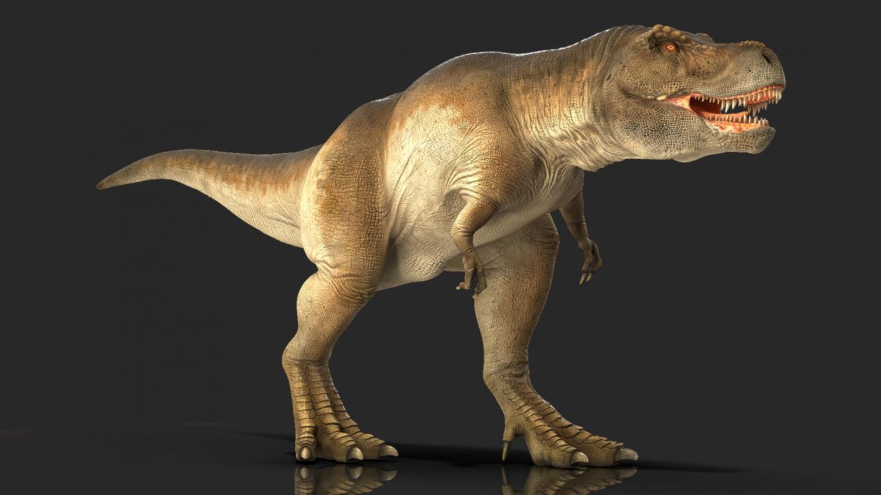 Animated Tyrannosaurus Rex Collection 3D