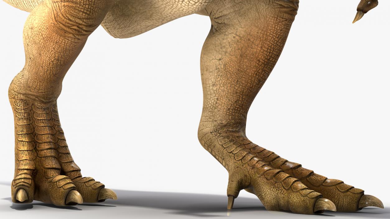 Animated Tyrannosaurus Rex Collection 3D