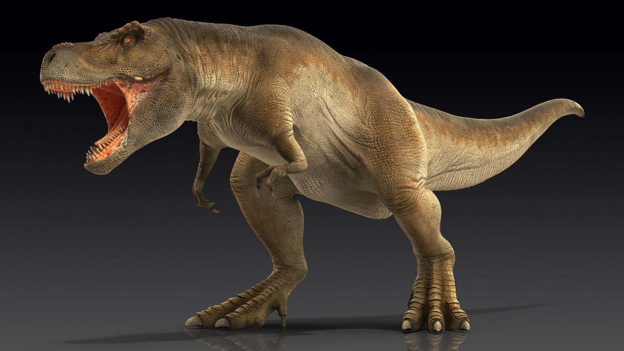 Animated Tyrannosaurus Rex Collection 3D