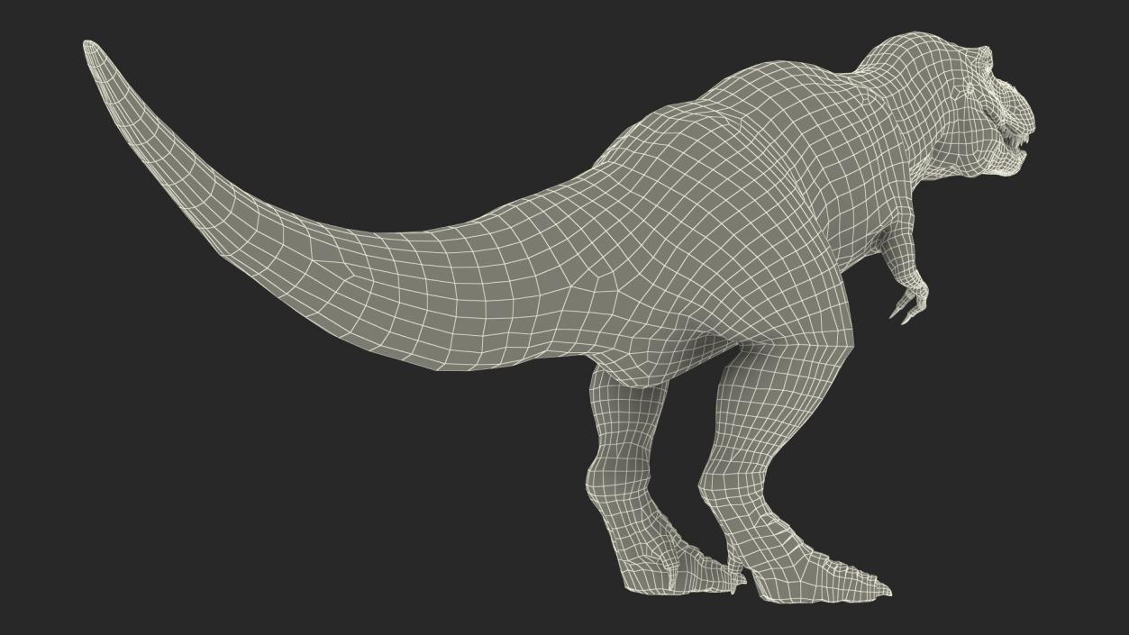 Animated Tyrannosaurus Rex Collection 3D