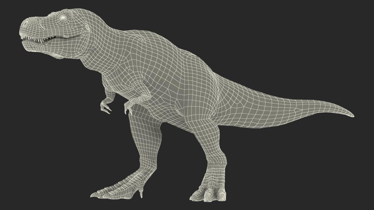 Animated Tyrannosaurus Rex Collection 3D