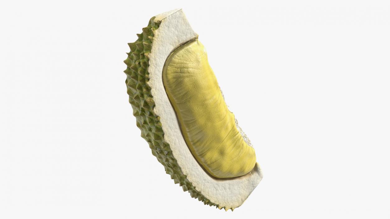 3D model Fresh Riped Durian Fruit Slice