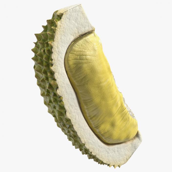 3D model Fresh Riped Durian Fruit Slice