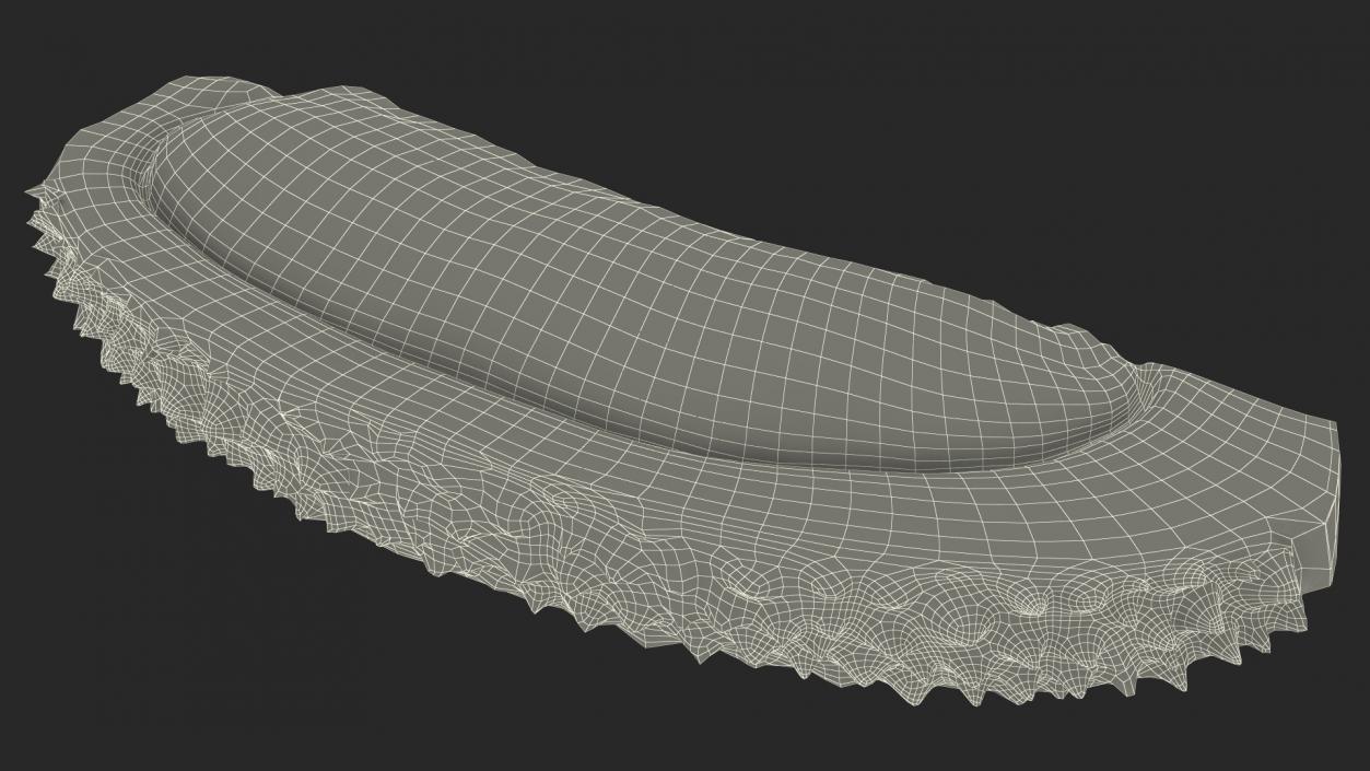 3D model Fresh Riped Durian Fruit Slice