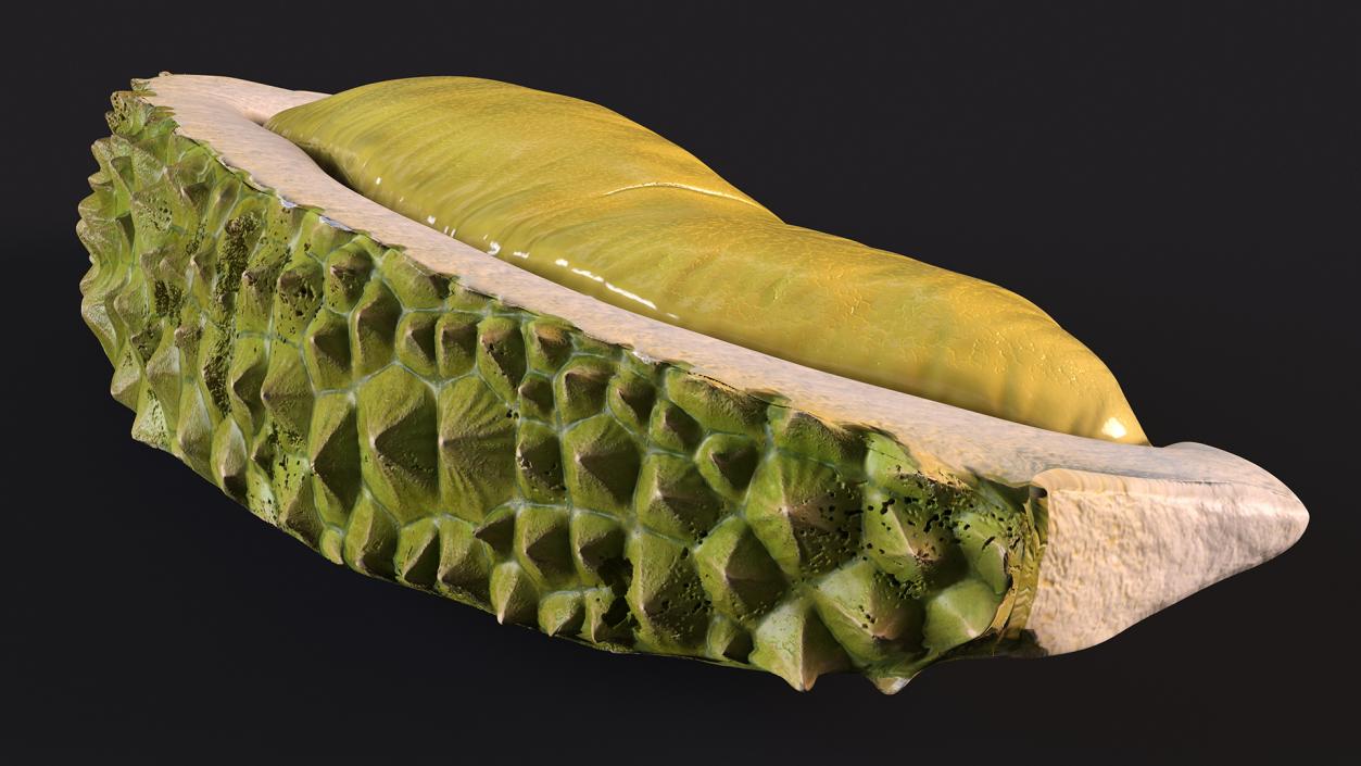 3D model Fresh Riped Durian Fruit Slice