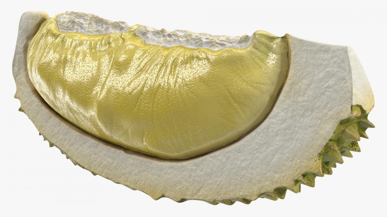 3D model Fresh Riped Durian Fruit Slice