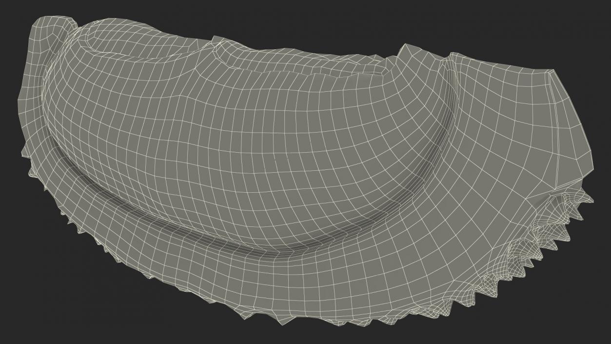 3D model Fresh Riped Durian Fruit Slice