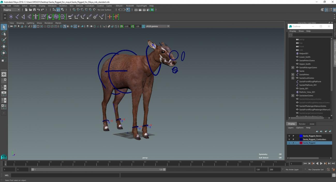 3D Saola Rigged for Maya 3 model