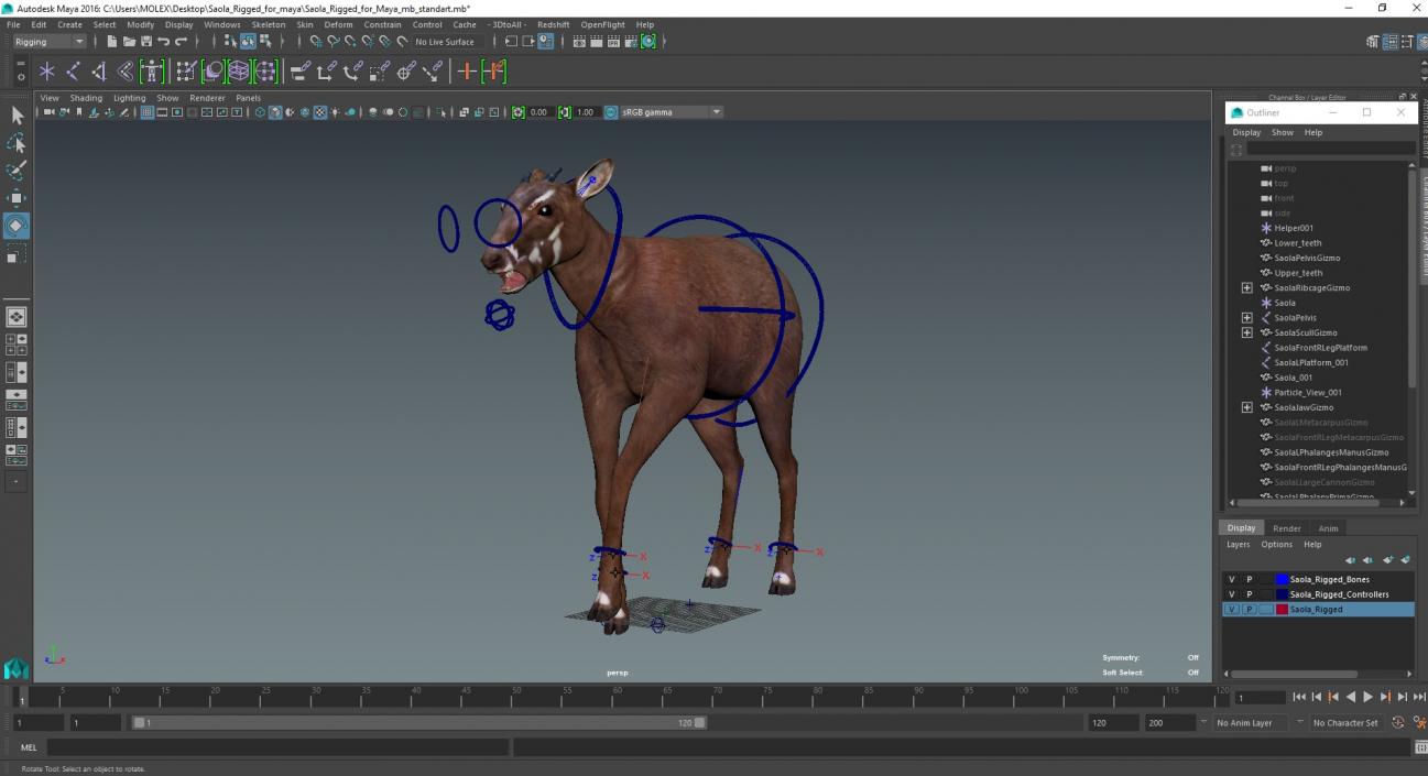 3D Saola Rigged for Maya 3 model