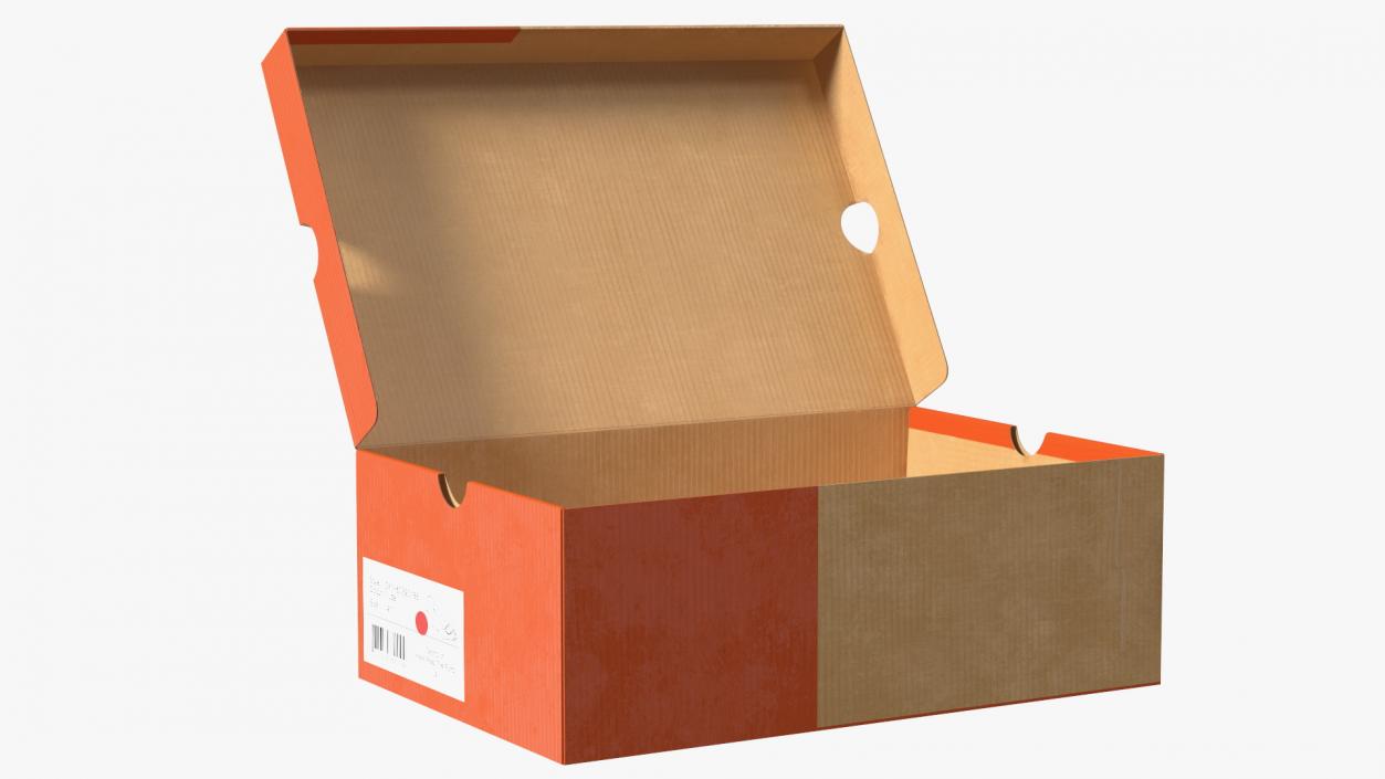 3D model Carton Shoe Box Open