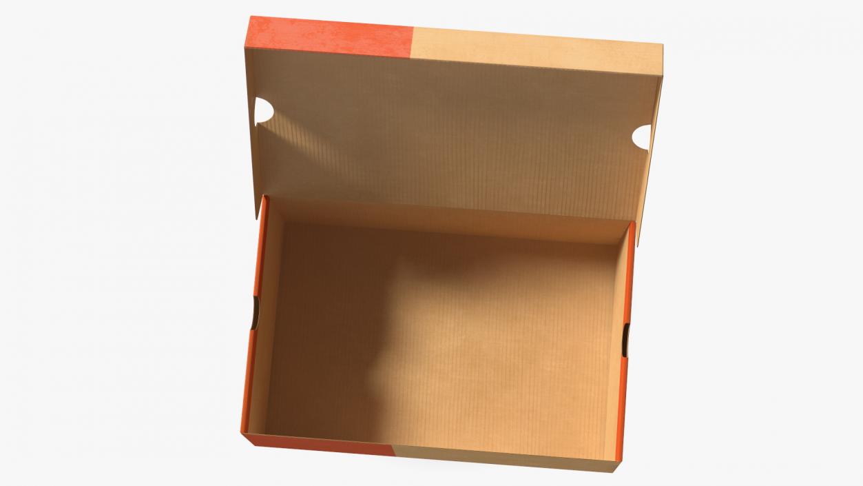 3D model Carton Shoe Box Open