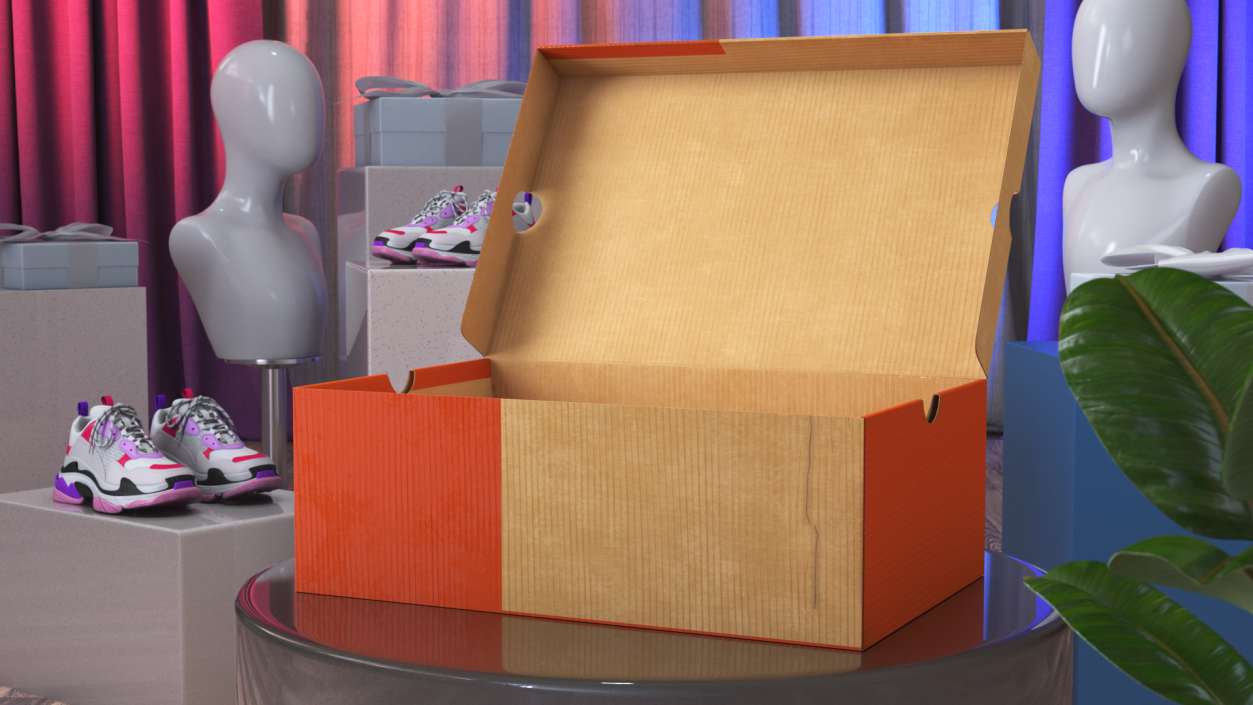 3D model Carton Shoe Box Open