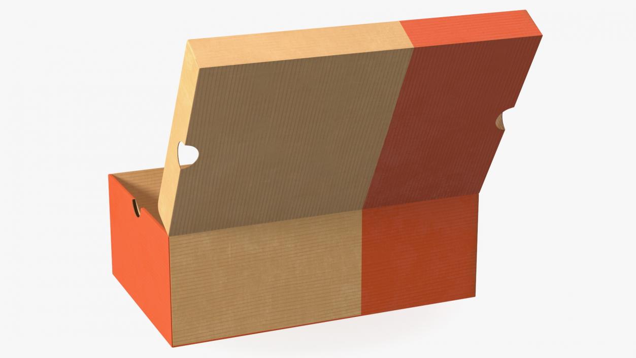 3D model Carton Shoe Box Open